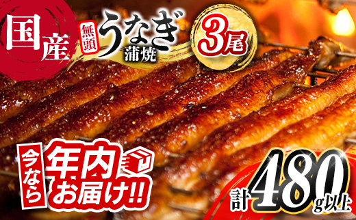 ＜今なら年内お届け!!＞うなぎ 鰻楽 国産 蒲焼 2尾 計360g以上 無頭 高評価 おすすめ 冷凍 簡単調理 個包装 鰻 魚介 贈答品 ギフト 贈り物【B555-2512】 2025年12月お届け