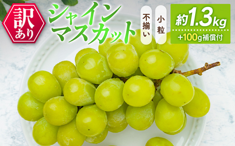 訳あり［不揃い・小粒］シャインマスカット 4パック 約1.3kg+100g補償付 ご家庭用 宮崎県新富町産 製菓用 先行予約 ※2026年8月下旬～【B638-26】