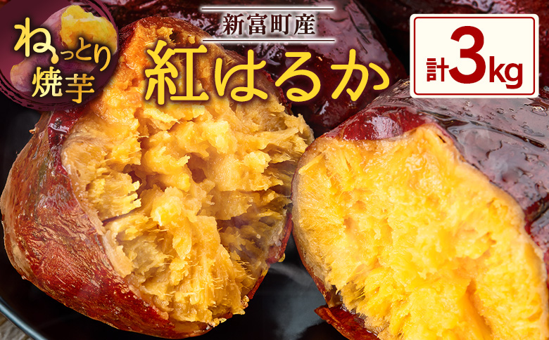 特製焼き芋！熟成蜜芋「紅はるか」計3kg 国産 新富町産［12月～5月出荷］さつまいも ねっとり焼芋 イモ【B641-1205】