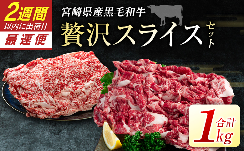 宮崎県産黒毛和牛＜新富育ちGyuGyu・贅沢スライスセット（500g×2P）＞合計1kg 肉 牛肉 宮崎県産【B653】