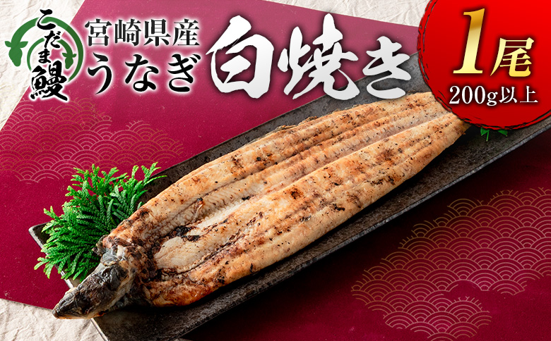 「こだま鰻」宮崎県産 うなぎ白焼き（1尾）200g以上 国産 真空パック【B661】