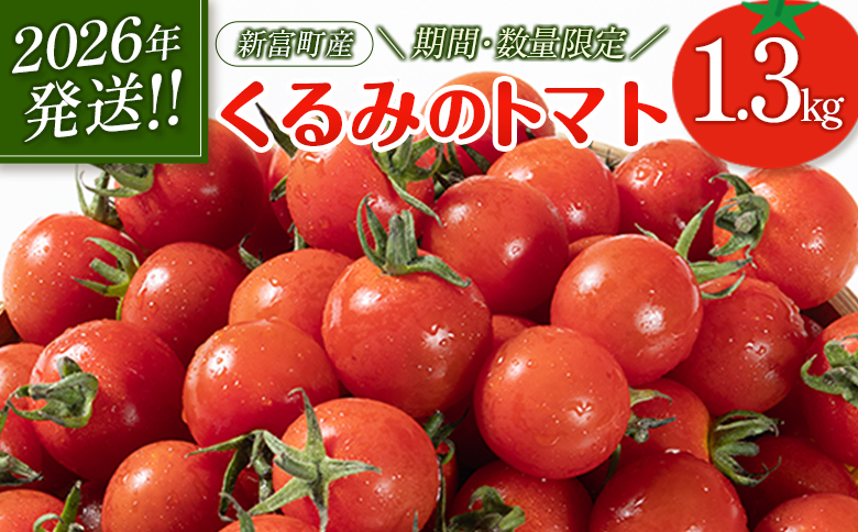 ＜期間・数量限定＞［2026年発送］くるみのトマト 計1.3kg 宮崎県新富町産 朝採れ 野菜 フレッシュ 国産【B667】