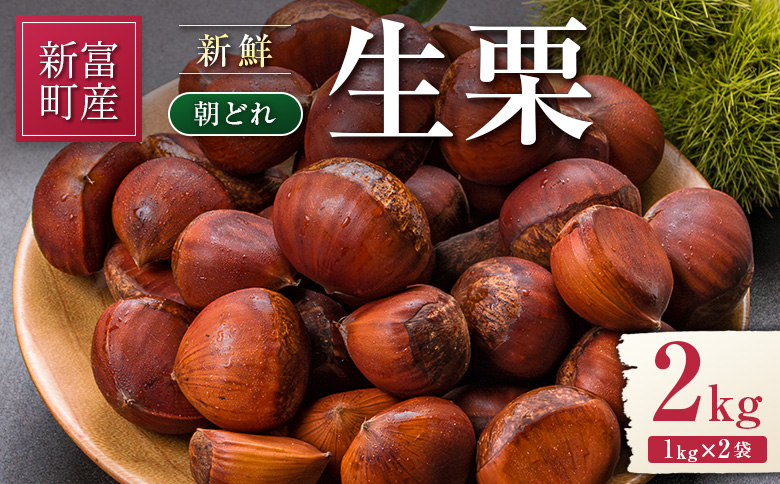 ＜2026年出荷!!＞国産 新鮮朝どれ（生栗）2kg お取り寄せ 産地直送 宝珠栗 数量限定 宮崎県新富町産 先行予約【B669-26】