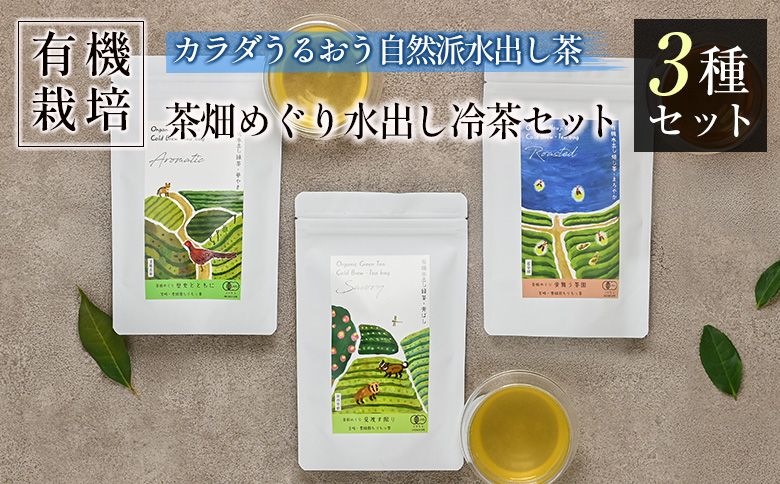 ＜有機栽培＞カラダうるおう自然派水出し茶 茶畑めぐり水出し冷茶 3種セット 国産 日本茶 飲み比べ【B681】