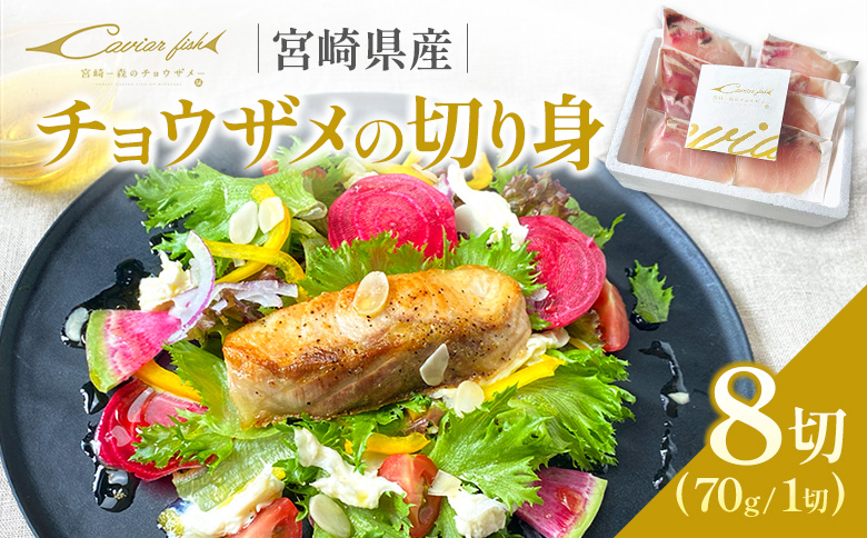 チョウザメの切り身70g×8パックセット 魚介 真空パック カット済み【B687】