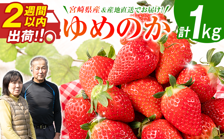 ＜2週間以内出荷!!＞宮崎県産 いちご「ゆめのか」計1kg フルーツ 期間限定 デザート ご褒美【B701】