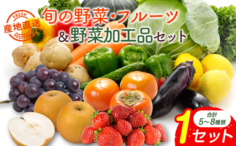 産地直送！旬の野菜・フルーツ＆野菜加工品 セット お試し 1回お届け おまかせ 詰合せ 宮崎県新富町産【C431】