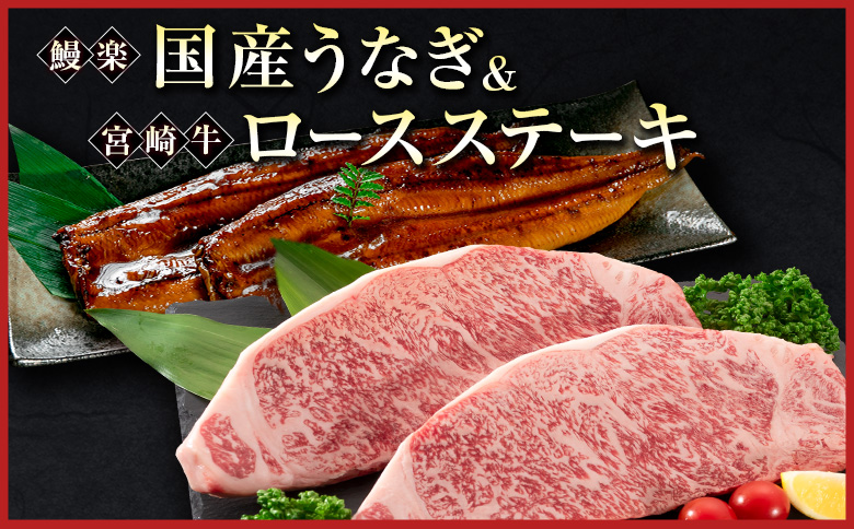 鰻楽 国産うなぎ 2尾 計360g ＆ 宮崎牛 ロースステーキ 250g×2枚 計500g 肉質等級4等級 国産 人気 おすすめ【C129-2510-90】