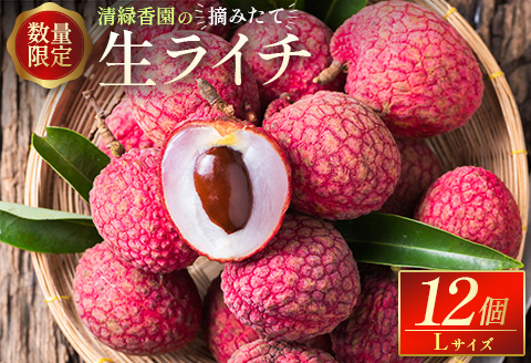 ＜数量限定＞清緑香園の摘みたて「生ライチ」Lサイズ 12個 国産 宮崎県産 先行予約 ※2026年6月中旬～【C235-26】