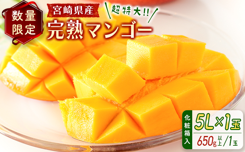 ＜数量限定＞宮崎県産 完熟マンゴー5L×1玉（650g以上）※2026年4月下旬配送開始 化粧箱入 フルーツ くだもの【C358-26】