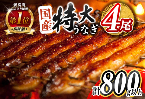 ＜2026年2月お届け!!＞特大 うなぎ 鰻楽 国産 蒲焼 4尾 計800g以上 無頭 高評価 おすすめ 冷凍 簡単調理 個包装 鰻 魚介 贈答品 ギフト 贈り物【C388-800-2602】 2026年2月お届け