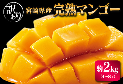 宮崎県産「訳あり」完熟 マンゴー 約2kg（4～8玉）先行予約 南国 フルーツ 果物【C400-26】