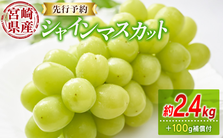 ＜先行予約＞シャインマスカット 3～4房 約2.4kg+100g補償付 宮崎県産 ※2026年8月下旬～【C433-26】