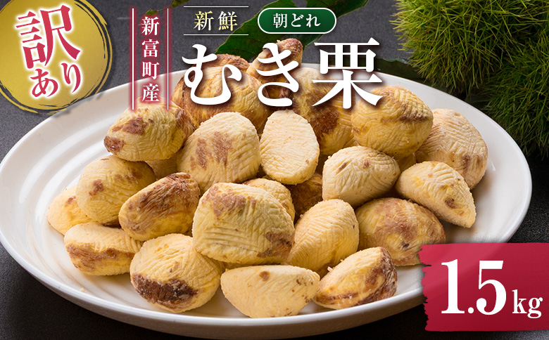 ＜2026年出荷!!＞＜訳あり＞期間限定 国産 新鮮朝どれ（むき栗）1.5kg 産地直送 お取り寄せ 宝珠栗 宮崎県新富町産 先行予約【C448-26】