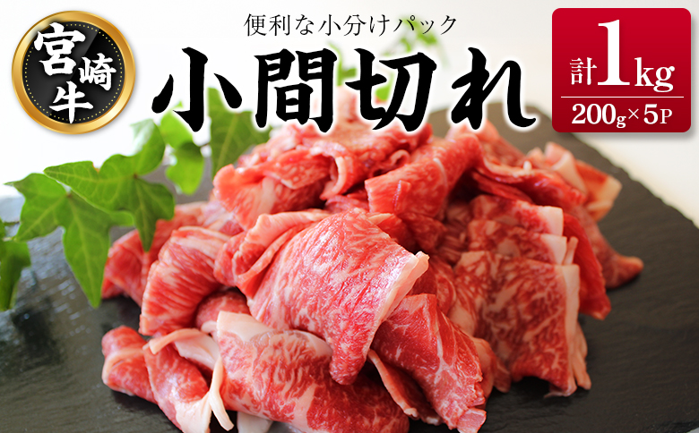 宮崎牛 小間切れ 便利な小分け 200g×5P 計1kg 人気 冷凍 国産【C449】