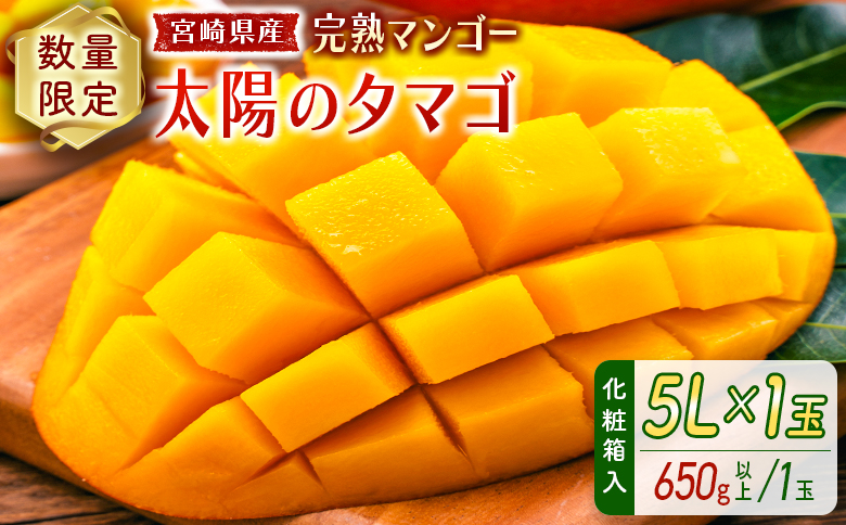 数量限定 宮崎県産 完熟マンゴー＜太陽のタマゴ＞5L×1玉（650g以上）※2026年4月下旬配送開始 化粧箱入 フルーツ くだもの【D114-26】