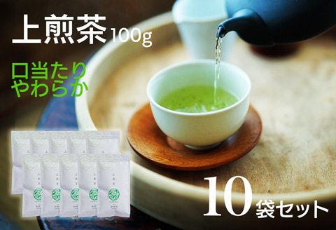 宮崎日本茶専門店 上煎茶100g 10本セット お茶 緑茶 ギフト お取り寄せ【D140】