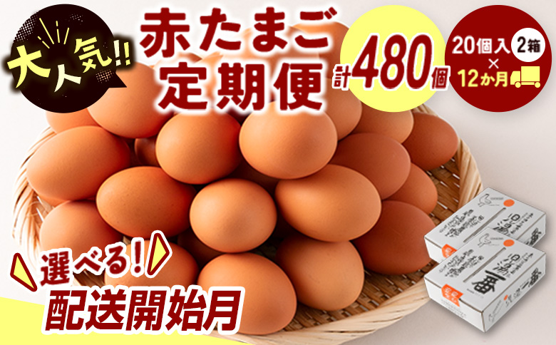 ＜配送開始月が選べる!!＞児湯養鶏自慢の卵 ネッカリッチ赤たまご「児湯一番」 計480個 （20個入×2箱）×12か月定期便 ※2026年4月配送開始【E19-2604】 2026年4月配送開始
