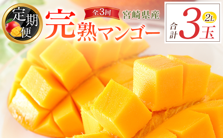 宮崎特産「完熟マンゴー2L×1玉」お届け定期便（全3回）計3玉 特産 国産 果物 フルーツ 旬 産地直送【E218-26】
