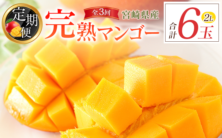 宮崎特産「完熟マンゴー2L×2玉」お届け定期便（全3回）計6玉 特産 国産 果物 フルーツ 旬 産地直送【E219-26】