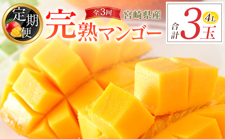 宮崎特産「完熟マンゴー4L×1玉」お届け定期便（全3回）計3玉 特産 国産 果物 フルーツ 旬 産地直送 大玉【E220-26】