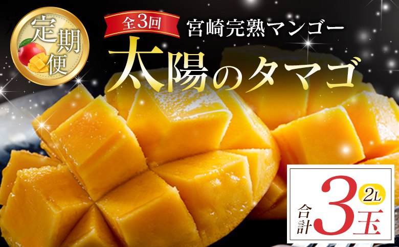 宮崎特産「太陽のタマゴ2L×1玉」お届け定期便（全3回）計3玉 特産 国産 果物 フルーツ 旬 産地直送【E222-26】