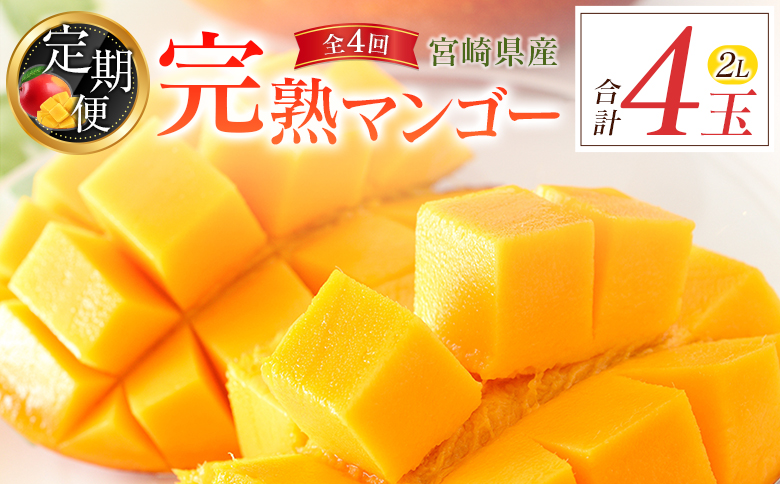 宮崎特産「完熟マンゴー2L×1玉」お届け定期便（全4回）計4玉 特産 国産 果物 フルーツ 旬 産地直送【E223-26】