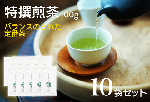 宮崎日本茶専門店 特撰煎茶100g 10本セット お茶 緑茶 ギフト お取り寄せ【E229】
