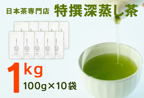 宮崎日本茶専門店 特撰深蒸し茶100g 10本セット お茶 緑茶 ギフト お取り寄せ 【E231】