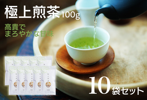 宮崎日本茶専門店 極上煎茶100g 10本セット お茶 緑茶 ギフト お取り寄せ【E232】