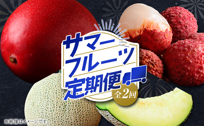 サマーフルーツ定期便 全2回 ＜メロン・マンゴー＆ライチ＞※2026年6月開始 旬 果物【E242】