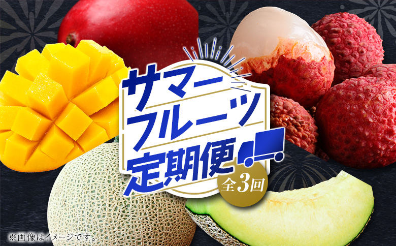 サマーフルーツ定期便 全3回＜メロン・マンゴー・ライチ＞ ※2026年5月開始 旬 果物【E244】