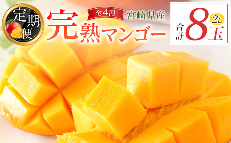 宮崎特産「完熟マンゴー2L×2玉」お届け定期便（全4回）計8玉 特産 国産 果物 フルーツ 旬 産地直送【F143-26】