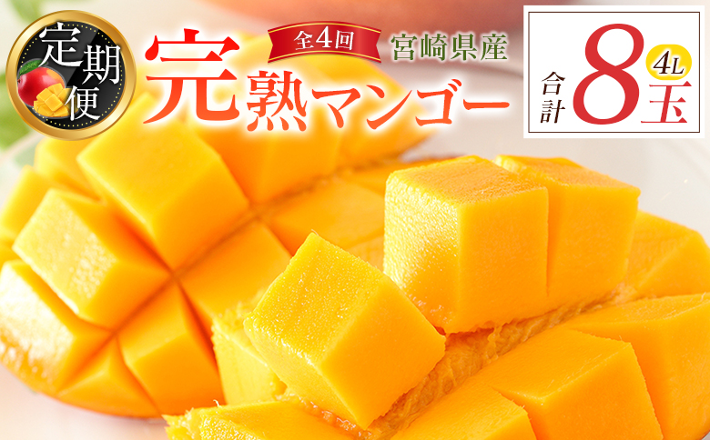 宮崎特産「完熟マンゴー4L×2玉」お届け定期便（全4回）計8玉 特産 国産 果物 フルーツ 旬 産地直送 大玉【F144-26】