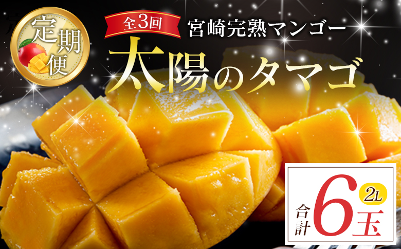 宮崎特産「太陽のタマゴ2L×2玉」お届け定期便（全3回）計6玉 特産 国産 果物 フルーツ 旬 産地直送【F145-26】