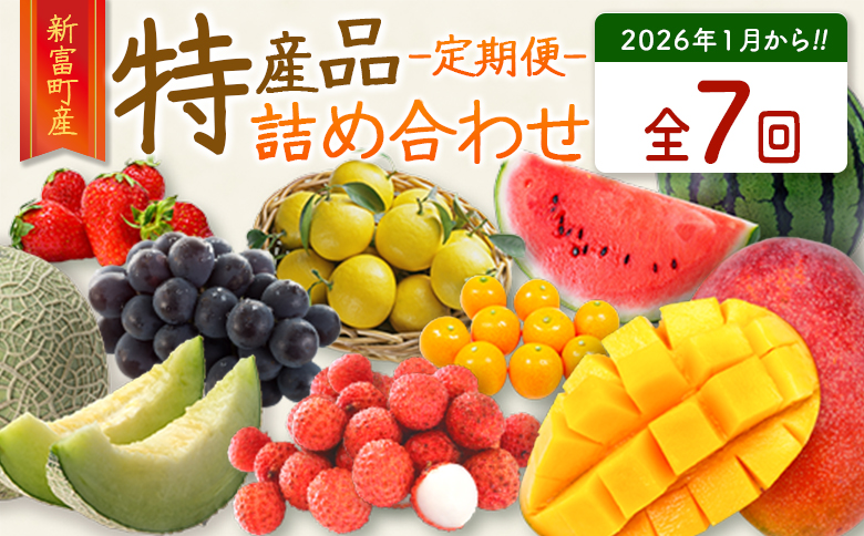 ＜数量限定＞新富町 特産フルーツ 詰め合わせ 定期便 7か月コース くだもの マンゴー ライチ メロン 柑橘 国産【F150-26】