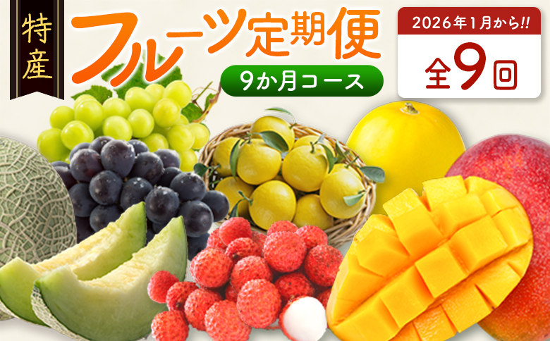 ＜数量限定＞新富町 特産フルーツ 詰め合わせ 定期便 9か月コース くだもの マンゴー ライチ メロン シャインマスカット ぶどう 柑橘 国産【F151-26】