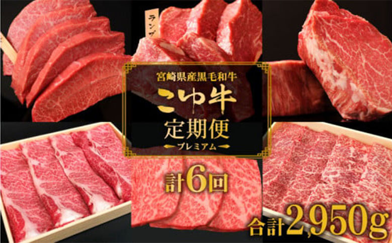 こゆ牛プレミアム定期便＜全6回＞ 1年間 宮崎県産 黒毛和牛 偶数月配送 ※2026年2月開始 シャトーブリアン 希少部位を含む和牛6品【F42-26】