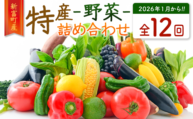 ＜数量限定＞新富町 特産 野菜 詰め合わせ 定期便 12か月コース 旬 やさい 国産 ≪2026年1月配送開始≫【G51-26】