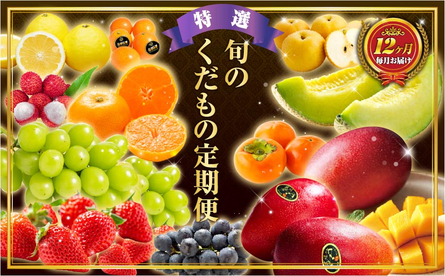 旬のくだもの定期便 「特選コース」 全12回 マンゴー いちご マスカット 国産 宮崎【G52】