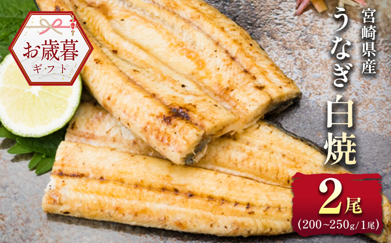お歳暮対応「玄人の一品」うなぎ 白焼き ギフト 2尾（200～250g/1尾あたり) 宮崎県産鰻 蒲焼きタレ付（50ml×1本）配送日指定可 国産 有頭 熨斗 贈答品【N38】 白焼き 2尾（200～250g/1尾あたり)