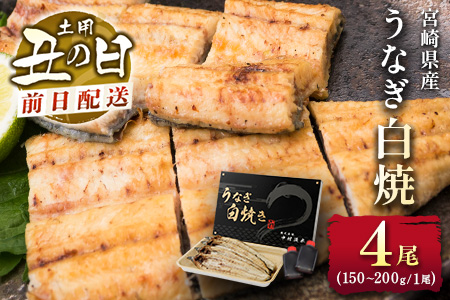 前日配送予約［土用丑の日］うなぎ白焼き 4尾 タレ付（150～200g/1尾あたり）※前日7月25日お届け 国産 有頭 熨斗 贈答品 ギフト 配送日指定可【N46-A26】 4尾（150〜200g/1尾あたり）