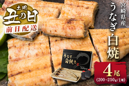 前日配送予約［土用丑の日］うなぎ白焼き 4尾 タレ付（200～250g/1尾あたり）※前日7月25日お届け 国産 有頭 熨斗 贈答品 ギフト 配送日指定可【N47-A26】 4尾（200〜250g/1尾あたり）