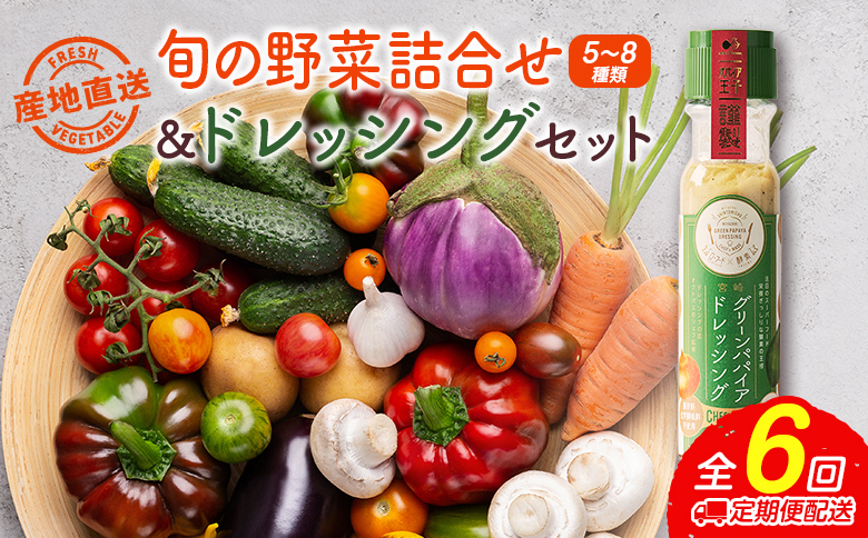 産地直送！旬の野菜（5～8種類）＆ドレッシング セット 全6回 隔月定期便 2か月に1回お届け おまかせ 詰合せ 宮崎県新富町産【E214】