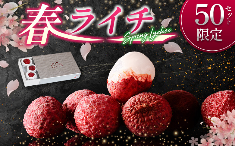 ［50セット限定］旬を先取り！4月出荷の春ライチ「モリノライチ」数量限定 ※4月20日～4月28日 期間内出荷 国産 ブランド フルーツ 果物 贈答品【S30】