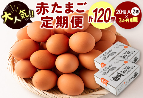 [児湯養鶏自慢の卵]ネッカリッチ赤たまご「児湯一番」 計120個 (20個入×2箱)×3か月定期便[C55]