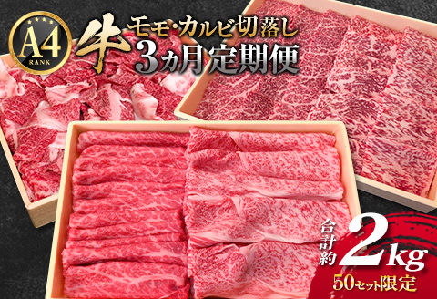 ［50セット限定］こゆ牛バラエティ 3ヵ月定期便（A4等級以上）※2026年1月配送開始【E142-01】