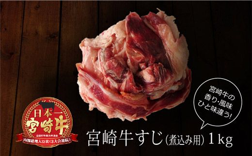 [宮崎牛]牛すじ(煮込み用) 合計1kg(500g×2パック)※90日内に出荷[B227]