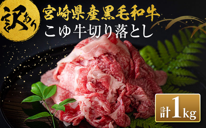 ［訳あり］宮崎黒毛和牛『こゆ牛』切り落とし 計1kg A4等級以上 ブランド牛 宮崎県産 冷凍 和牛 牛肉 国産【B67】