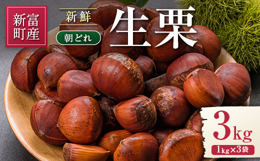 ＜2026年出荷!!＞国産 新鮮朝どれ（生栗）3kg お取り寄せ 産地直送 宝珠栗 数量限定 宮崎県新富町産 先行予約【B670-26】